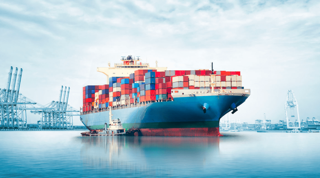 WHAT-KIND-OF-SHIPPING-THEY-ARE-OFFERING-opt.png