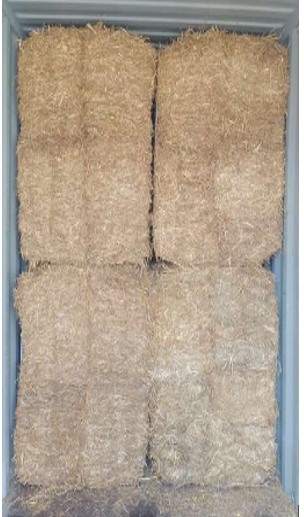 container-straw.png